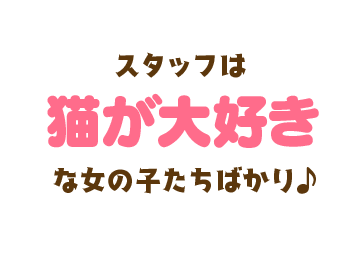 スタッフは猫が大好きな女の子たちばかり♪
