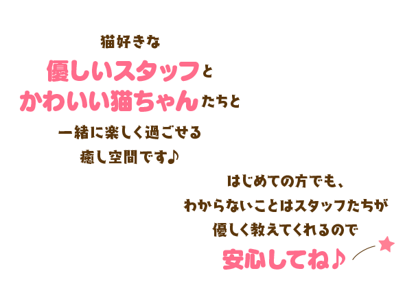 猫好きな優しいスタッフとかわいい猫ちゃんたちと一緒に楽しく過ごせる癒し空間です♪はじめての方でも、わからないことはスタッフたちが優しく教えてくれるので安心してね★