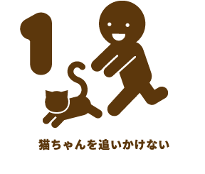 猫ちゃんを追いかけない